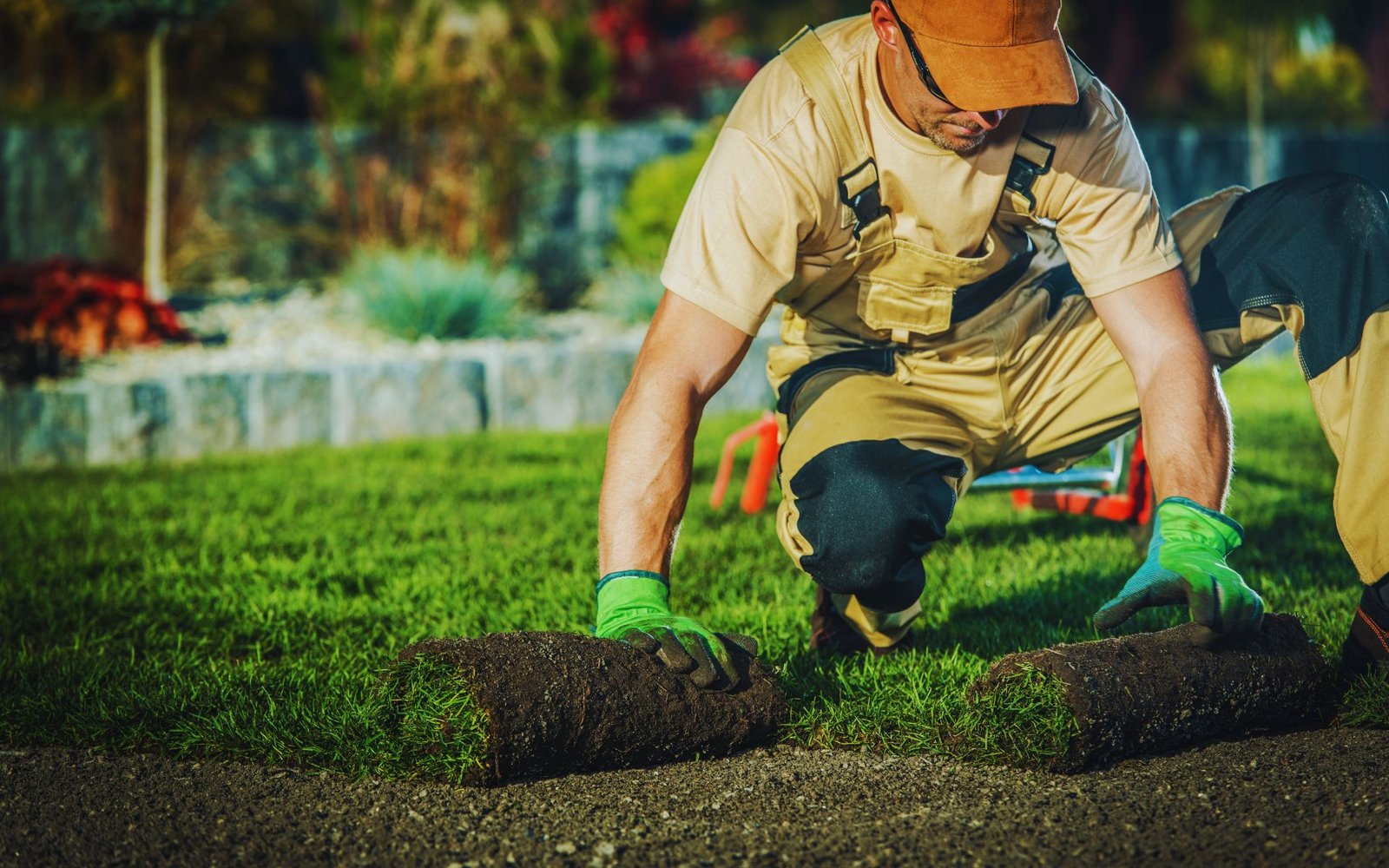 Landscaping (5)