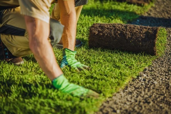 Turfing